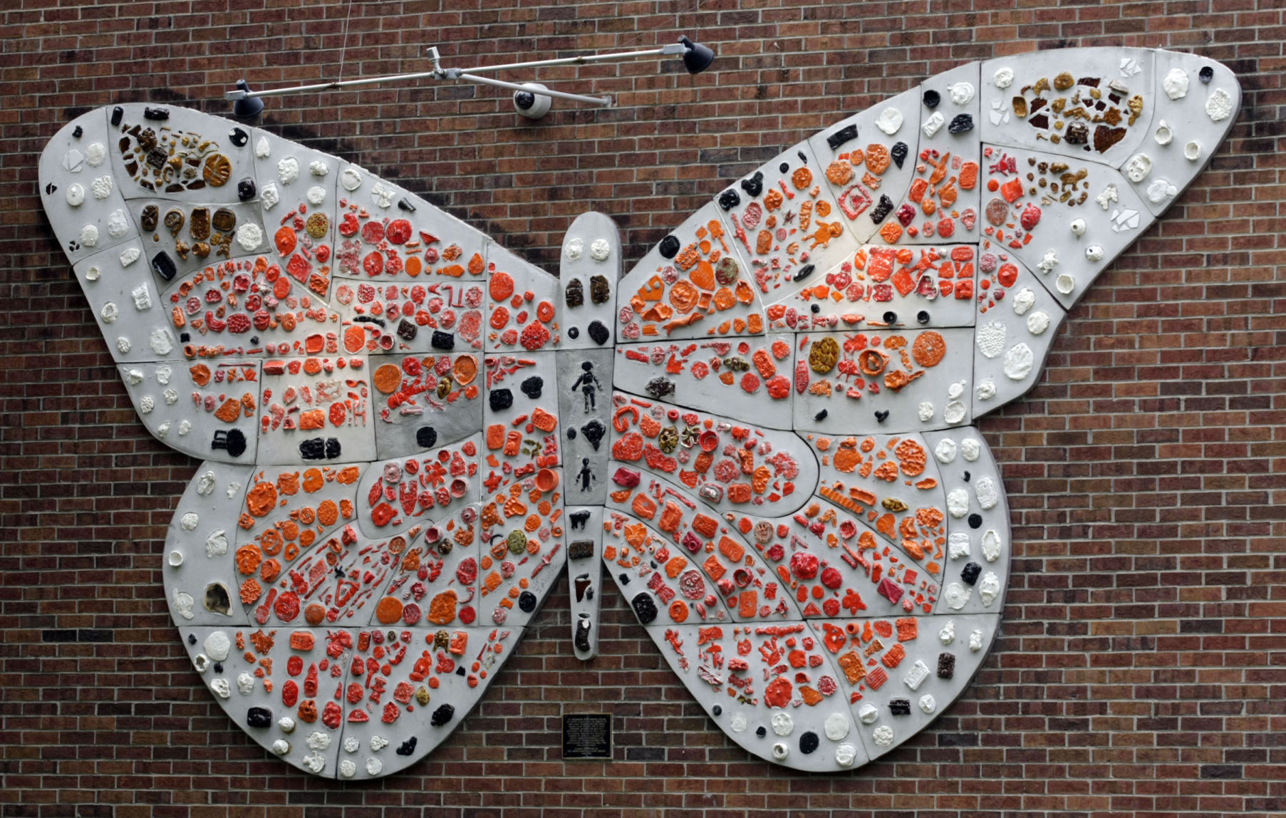 Butterfly at Dennis School